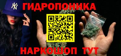прущие крисы Пугачёв