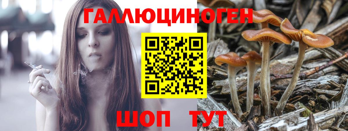 Псилоцибиновые грибы Psilocybe  продажа наркотиков  Татарск  Вход с VPN 